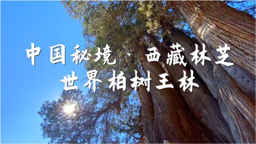 缺乏蛋白质,容易出现什么问题?只有吃大鱼大肉才能补充蛋白质吗?-分享精彩内容,尽在缺乏蛋白质,容易出现什么问题?只有吃大鱼大肉才能补充蛋白质吗?红迪网